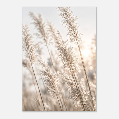 5f4e3037-f1c4-45a0-85ab-83045d01f3e8