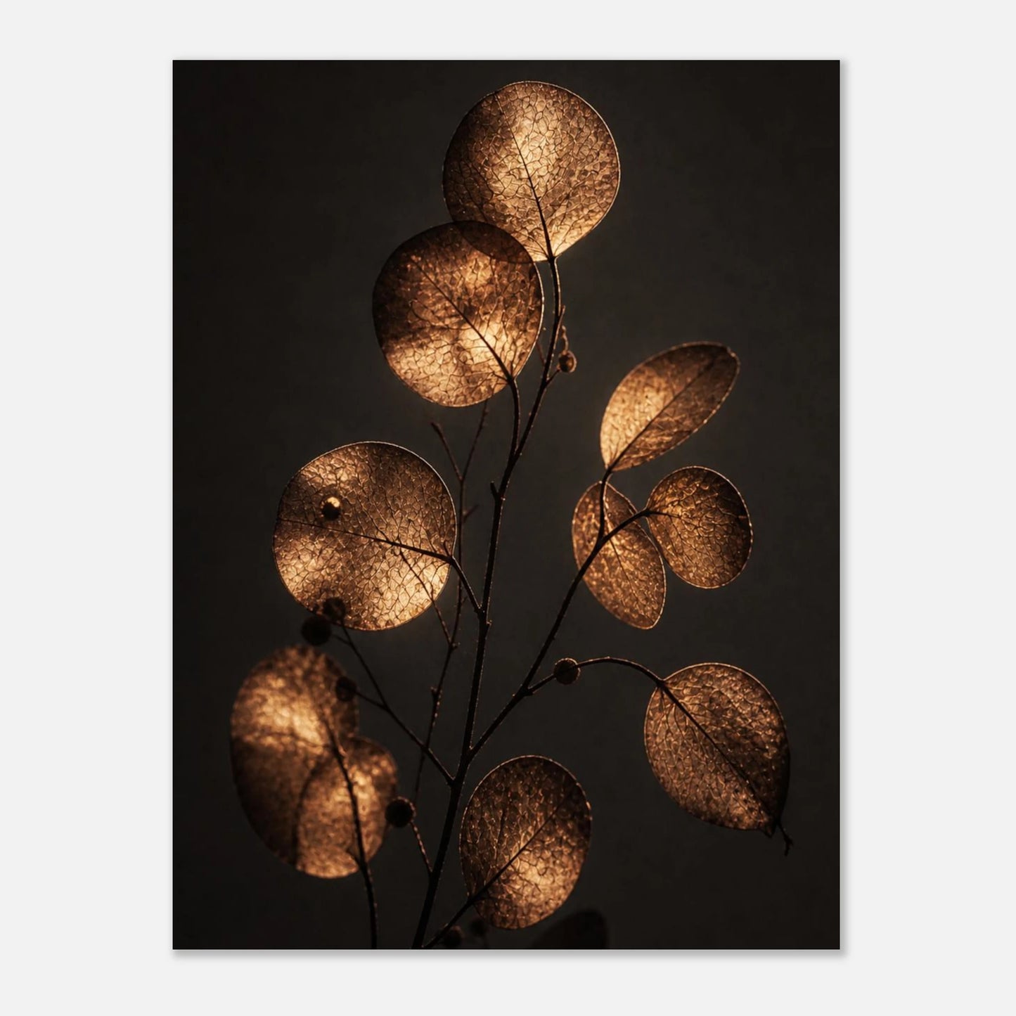 6835242d-6895-462c-9801-9bc653d25f4a