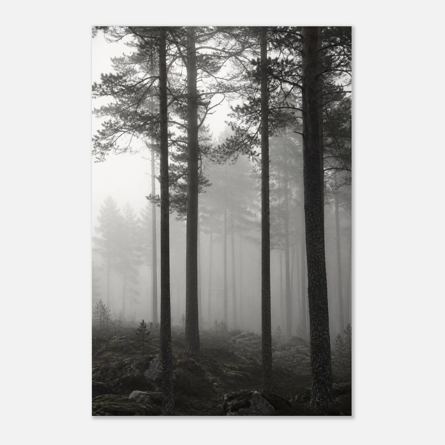 d66e2335-bdcb-4bde-91e3-41e35b6d9e05