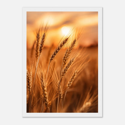 fefb07ae-5d68-4b97-9e20-a92e10ae5f84